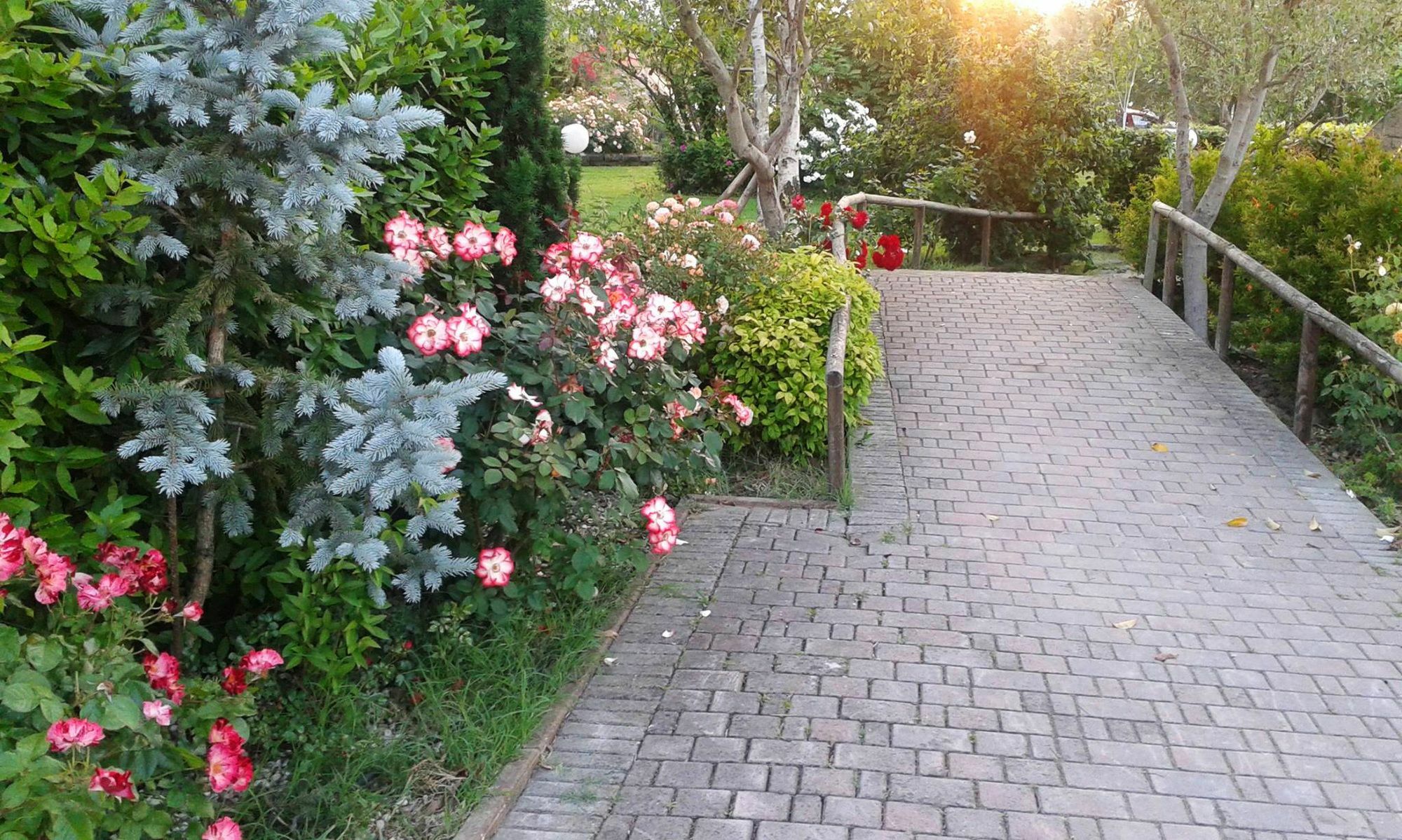 Fattoria Belvedere Bellaria-Igea Marina Exteriér fotografie
