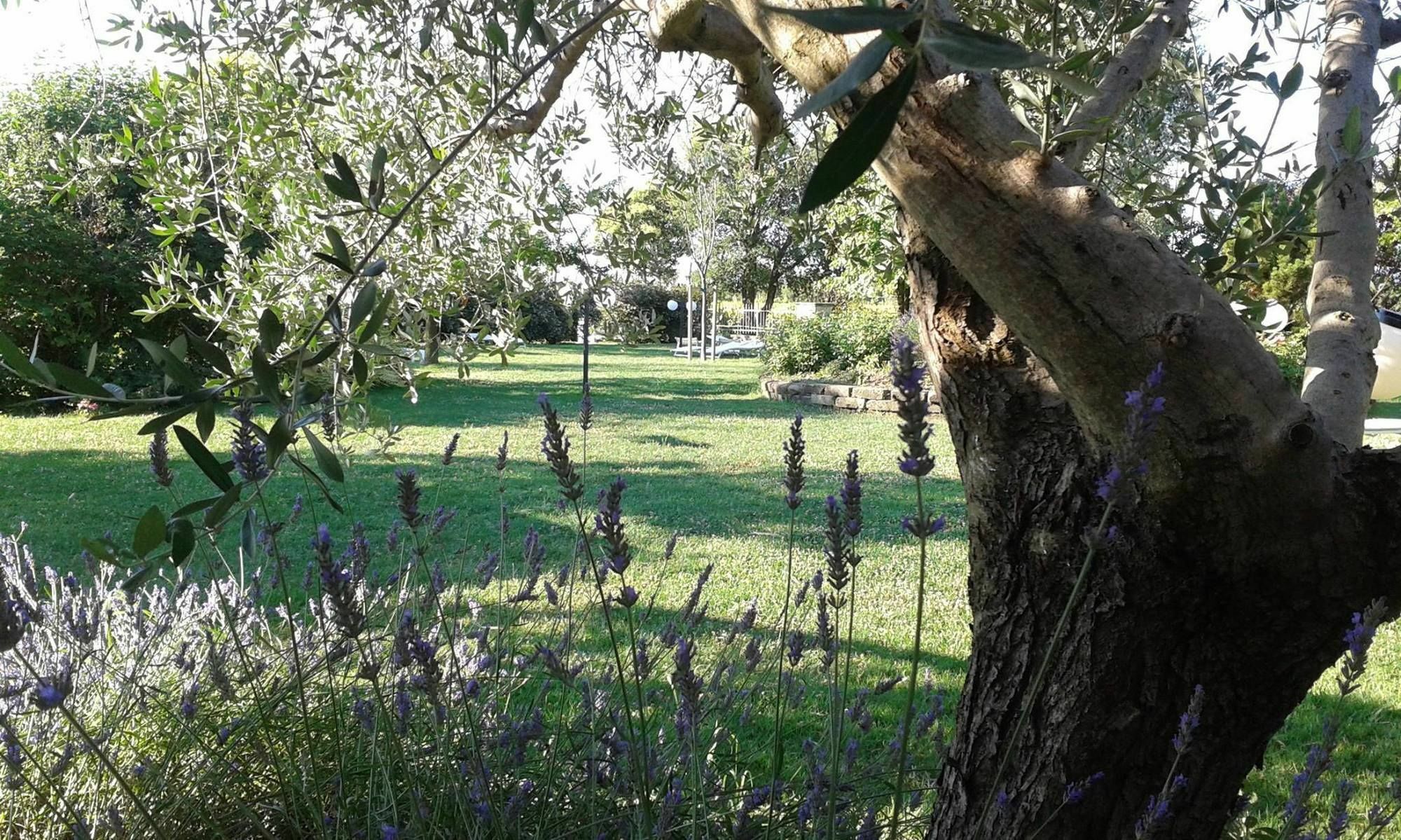 Fattoria Belvedere Bellaria-Igea Marina Exteriér fotografie