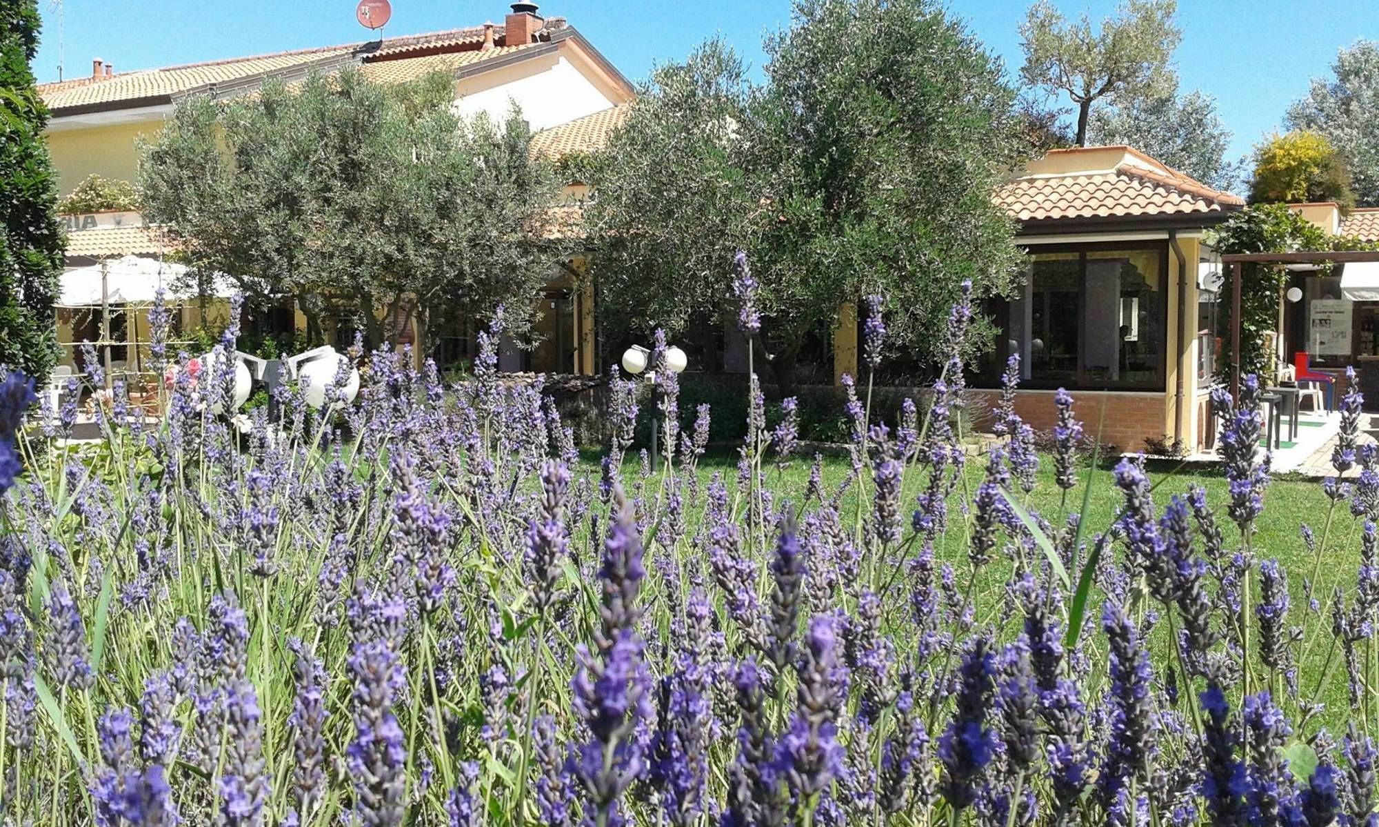 Fattoria Belvedere Bellaria-Igea Marina Exteriér fotografie